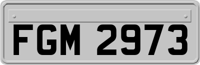FGM2973