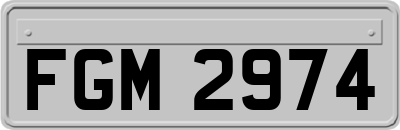 FGM2974