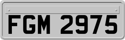 FGM2975