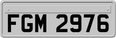 FGM2976