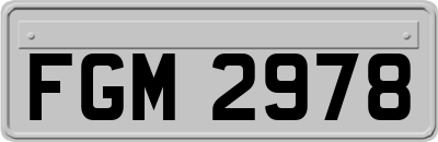 FGM2978