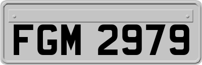 FGM2979