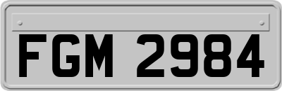 FGM2984