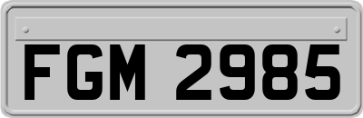 FGM2985