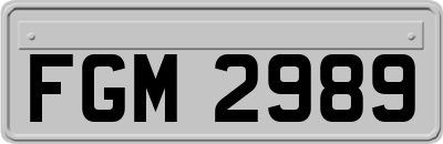 FGM2989