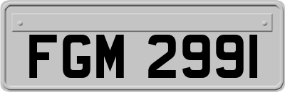 FGM2991