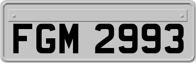FGM2993
