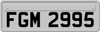 FGM2995