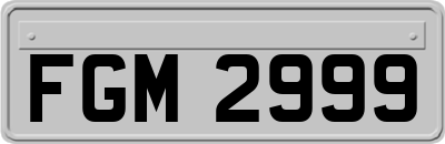 FGM2999
