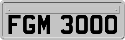 FGM3000