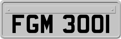 FGM3001