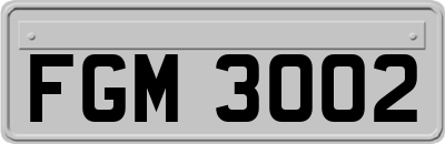 FGM3002
