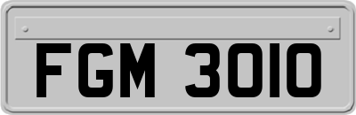 FGM3010