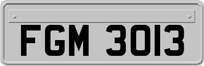 FGM3013
