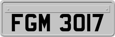 FGM3017
