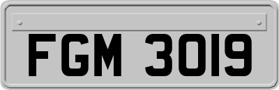 FGM3019