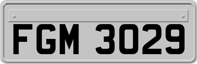 FGM3029