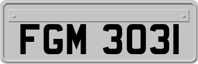 FGM3031