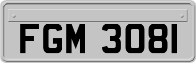 FGM3081