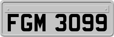 FGM3099