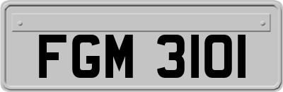 FGM3101