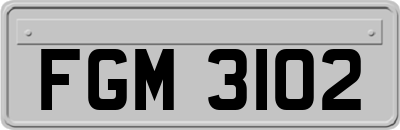FGM3102