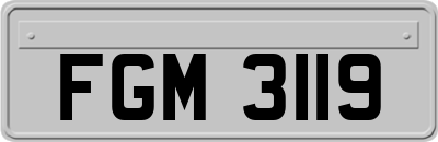 FGM3119