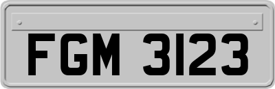 FGM3123