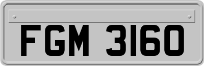 FGM3160