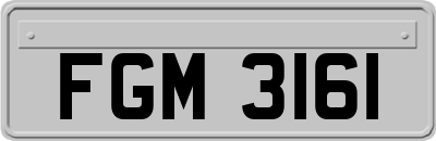 FGM3161