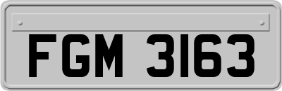 FGM3163