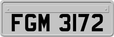 FGM3172