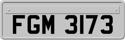 FGM3173