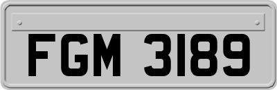 FGM3189