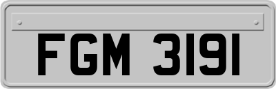 FGM3191
