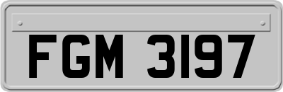 FGM3197