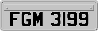 FGM3199
