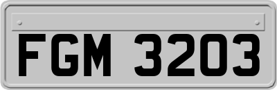 FGM3203