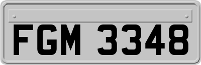 FGM3348