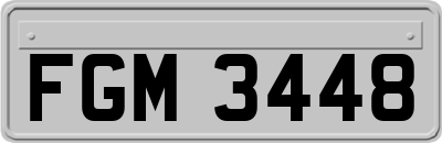 FGM3448