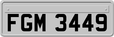 FGM3449