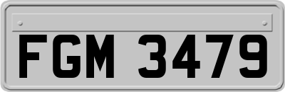 FGM3479