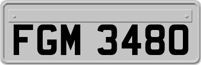 FGM3480