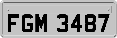 FGM3487