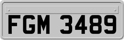 FGM3489