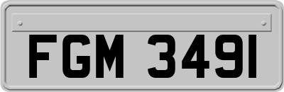 FGM3491