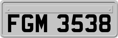 FGM3538