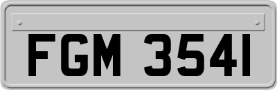 FGM3541