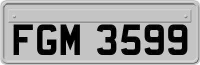 FGM3599