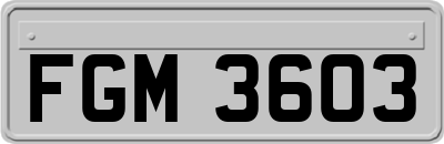 FGM3603